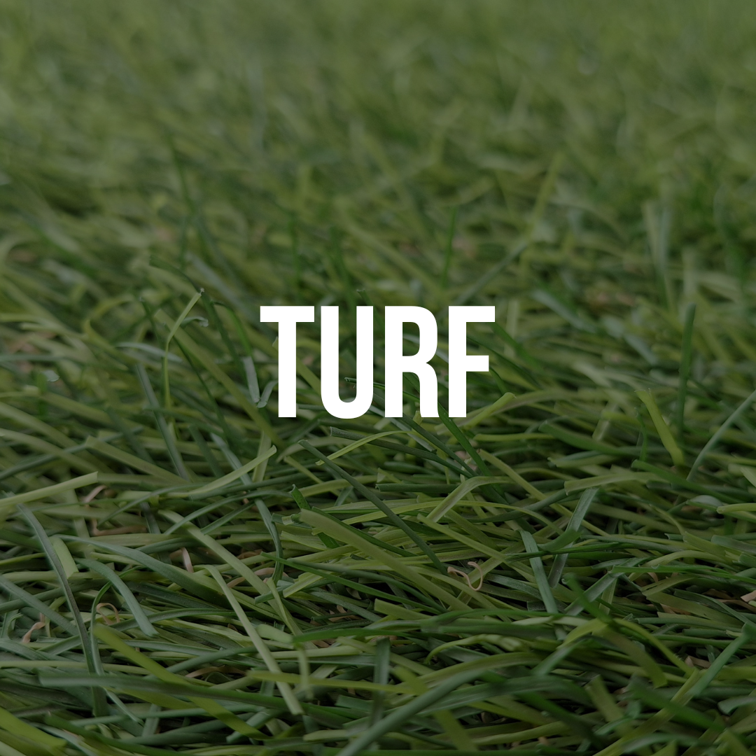 Turf
